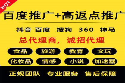 初学者的百度竞价推广：成功案例揭秘